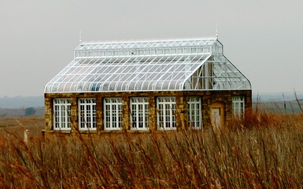 Greenhouse in a field